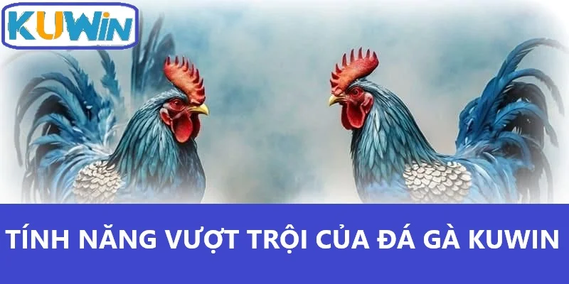 Tính năng vượt trội của đá gà Kuwin