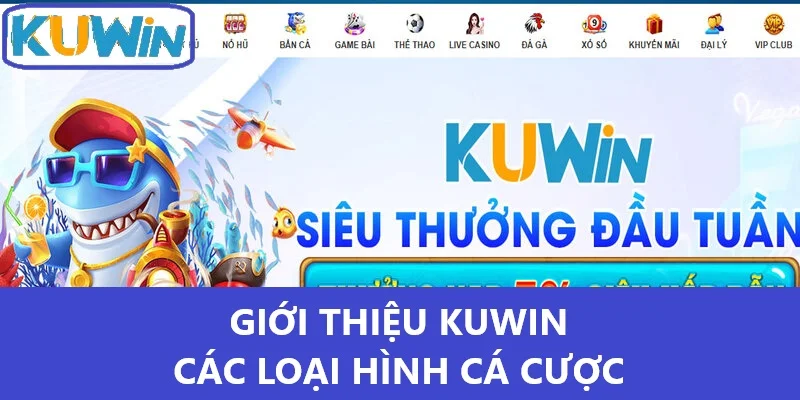 Giới thiệu Kuwin - Các loại hình cá cược