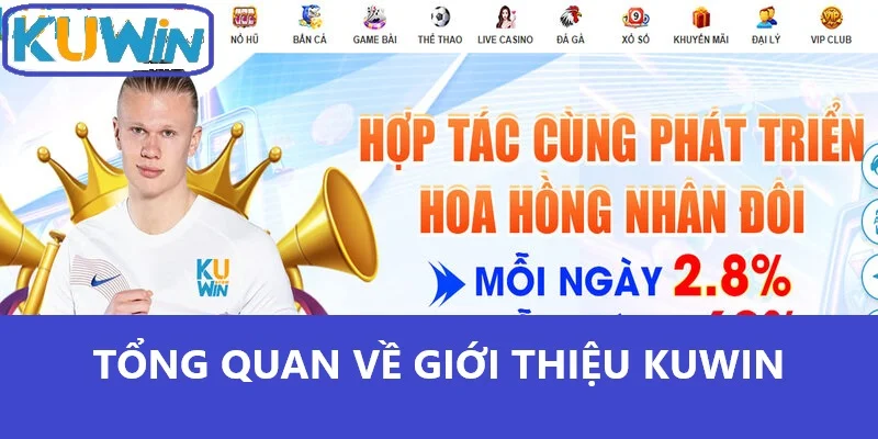 Tổng quan về giới thiệu Kuwin